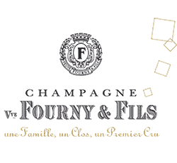 Logo Fourny Noir