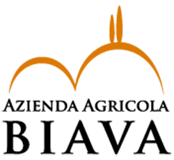 Logo Biava